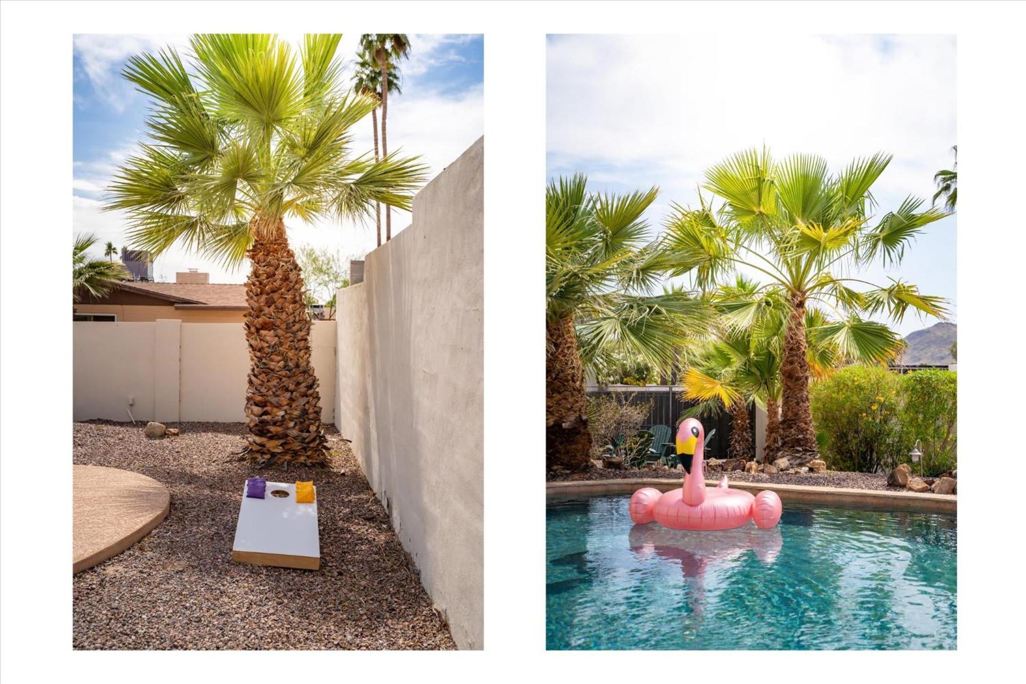 Game Pool Hottub Modern Desert Oasis *